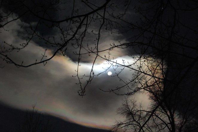 2013 (c) Colleen Briggs