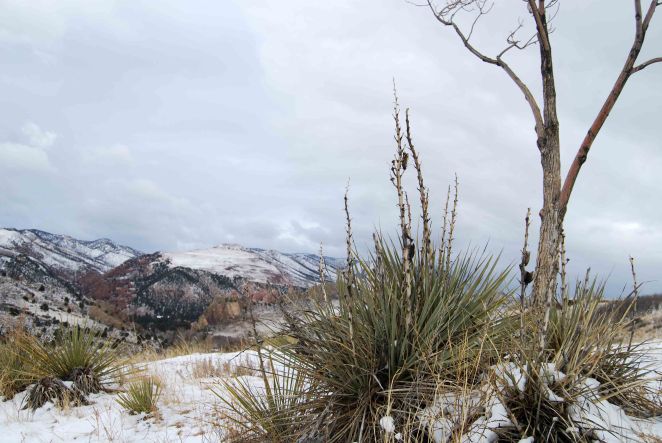 (c) Colleen Briggs 2013