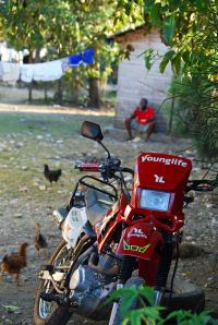 YL logo in obscure places 