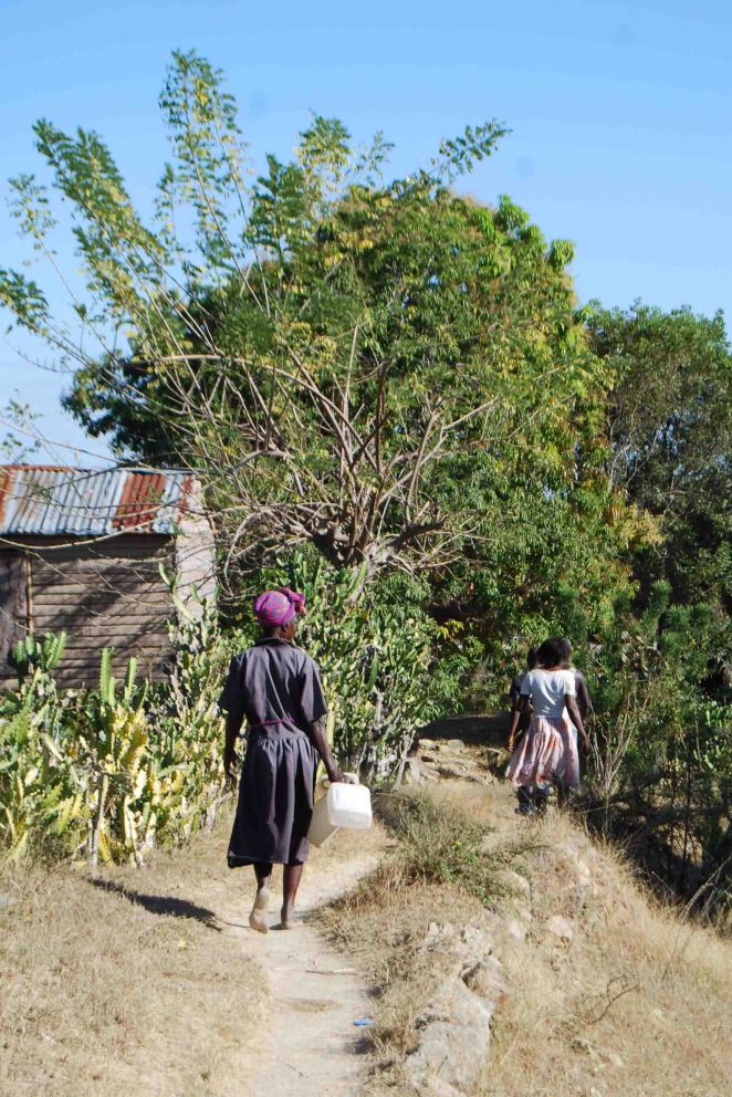 Falling in step along the trail, (c) Colleen Briggs 2014