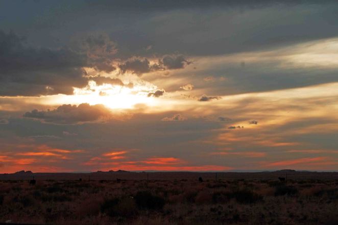 Sunset; Colleen Briggs (c) 2014