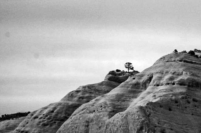 (c) Colleen Briggs 2014