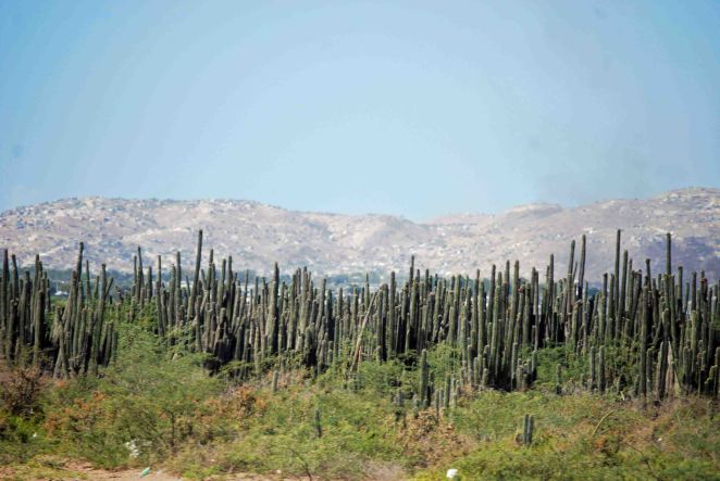 mountains surrounding Port au Prince