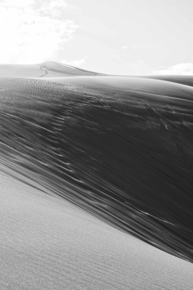 DSC_0280 black adn white