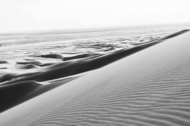 DSC_0289 black adn white