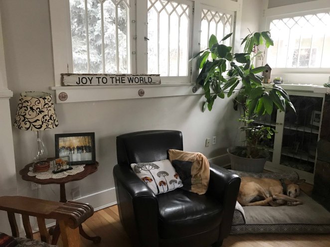 56555623318__50E8382C-AFD0-48F0-BA4D-8EDE4005E585